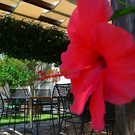 Aparthotel Elanios Zeus 3*
